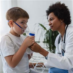 Environmental Management of Pediatric Asthma: Guidelines for Healthcare Providers